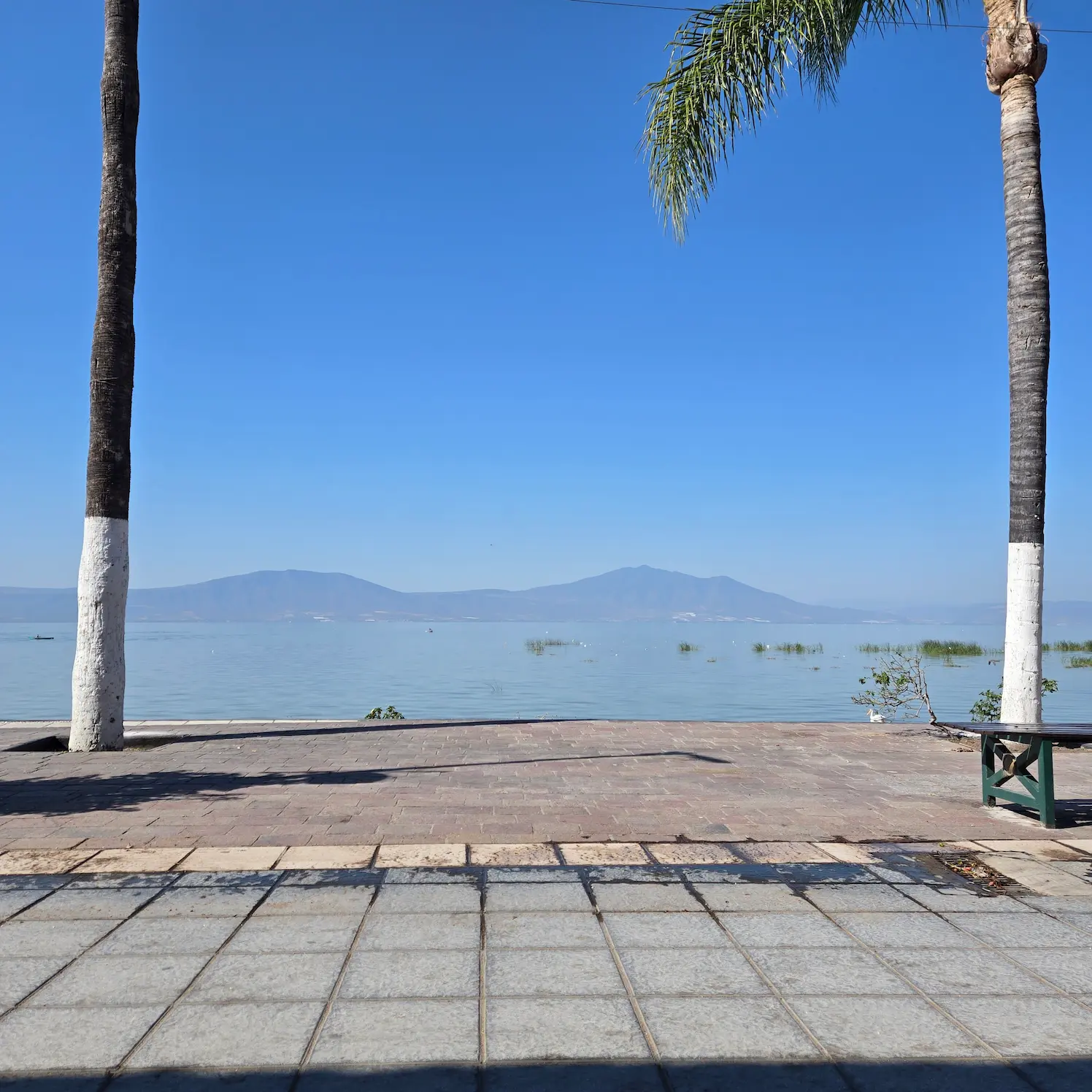 Chapala lake
