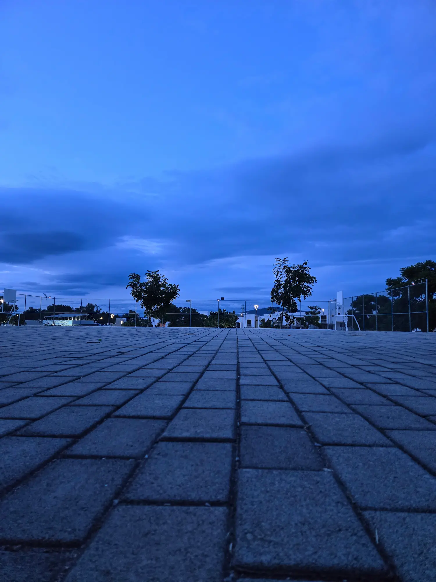 Day 016 - Blue floor